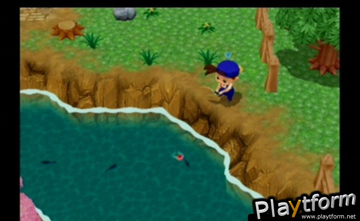Harvest Moon: Magical Melody (GameCube)