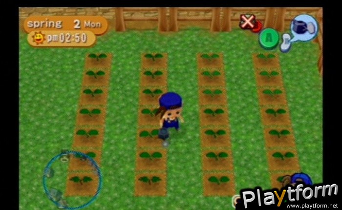 Harvest Moon: Magical Melody (GameCube)