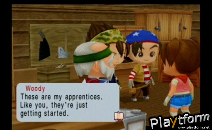 Harvest Moon: Magical Melody (GameCube)