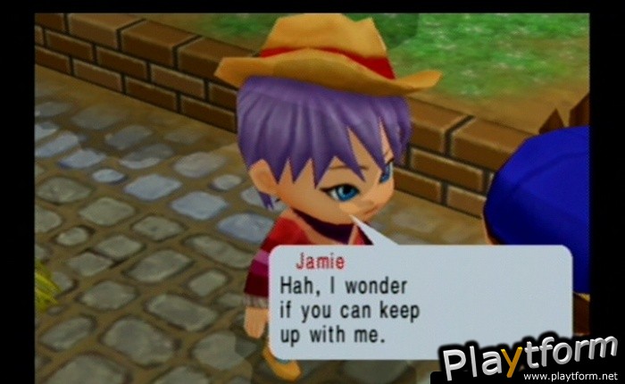 Harvest Moon: Magical Melody (GameCube)