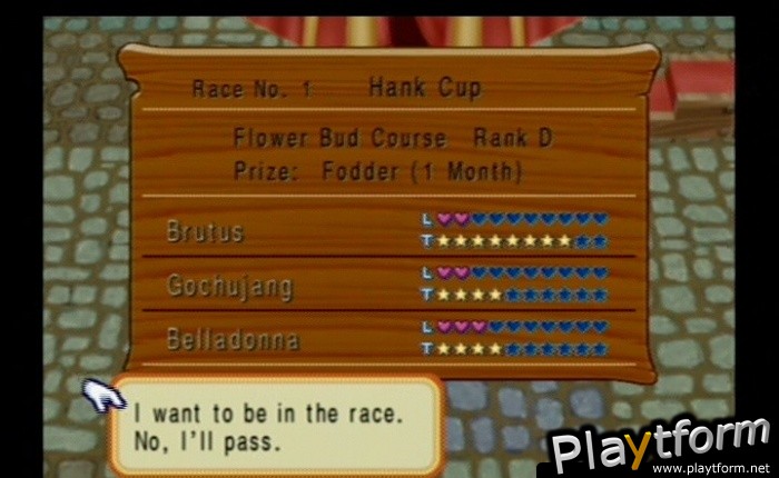 Harvest Moon: Magical Melody (GameCube)