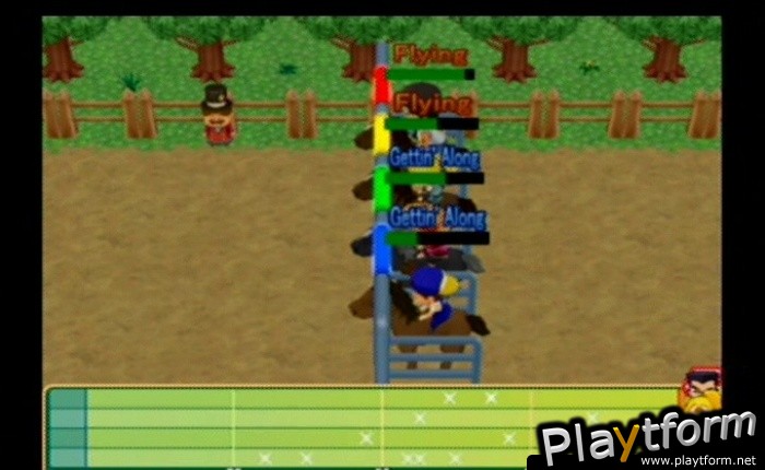 Harvest Moon: Magical Melody (GameCube)