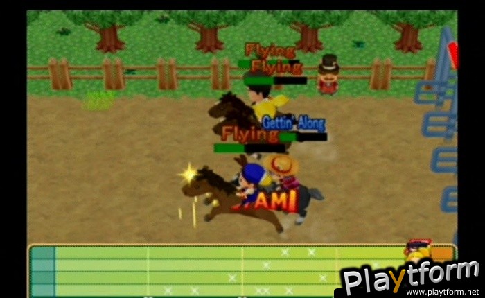 Harvest Moon: Magical Melody (GameCube)