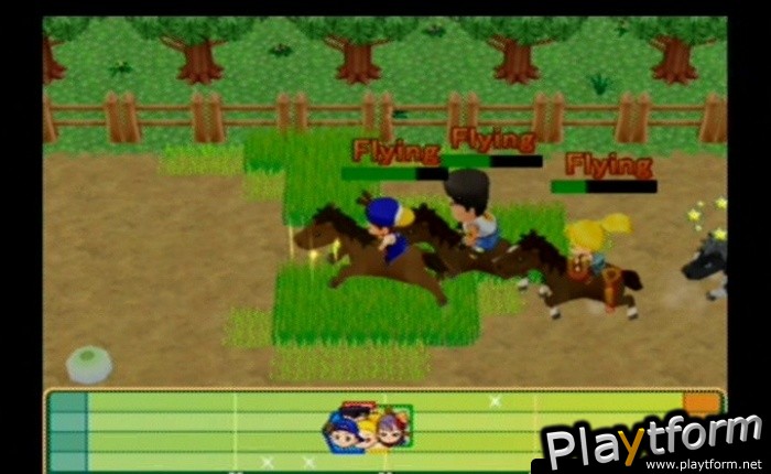 Harvest Moon: Magical Melody (GameCube)