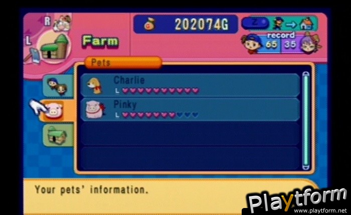 Harvest Moon: Magical Melody (GameCube)