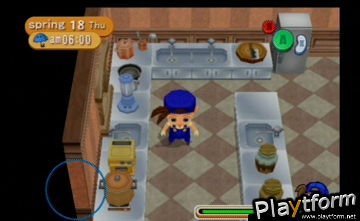 Harvest Moon: Magical Melody (GameCube)