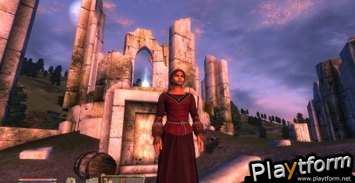 The Elder Scrolls IV: Oblivion (PC)