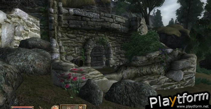 The Elder Scrolls IV: Oblivion (PC)