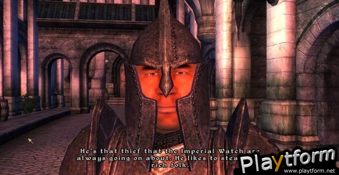 The Elder Scrolls IV: Oblivion (PC)