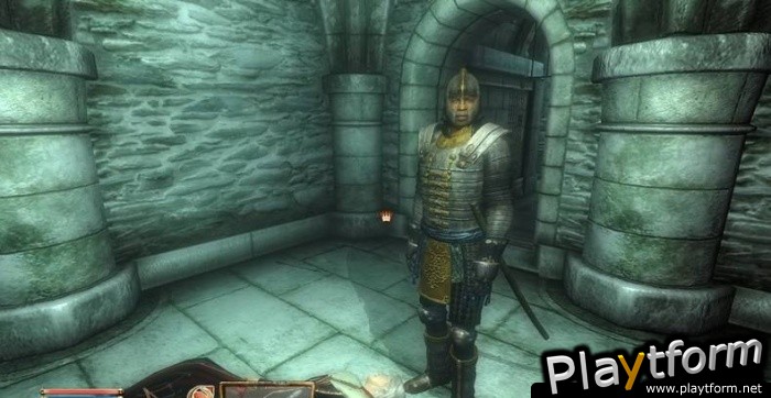 The Elder Scrolls IV: Oblivion (PC)