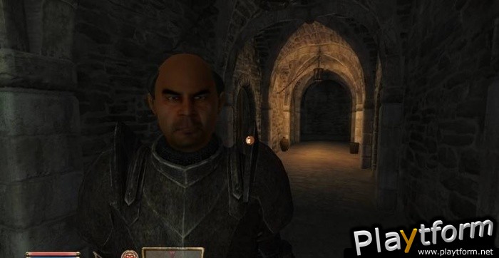 The Elder Scrolls IV: Oblivion (PC)