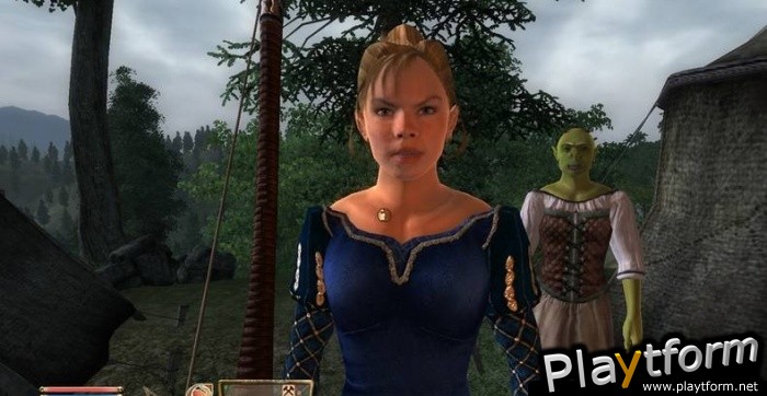 The Elder Scrolls IV: Oblivion (PC)