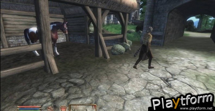 The Elder Scrolls IV: Oblivion (PC)