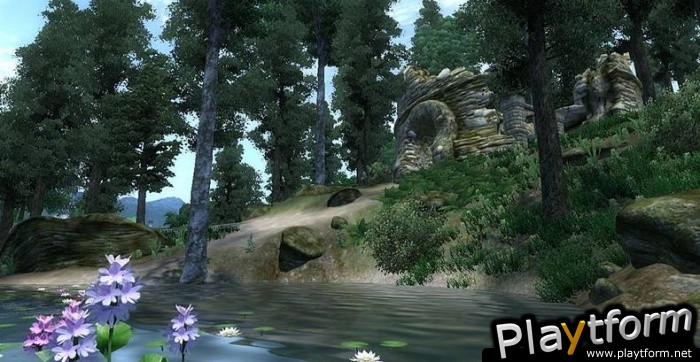 The Elder Scrolls IV: Oblivion (PC)