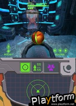 Metroid Prime: Hunters (DS)