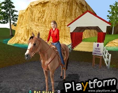 Let's Ride: Silver Buckle Stables (PlayStation 2)