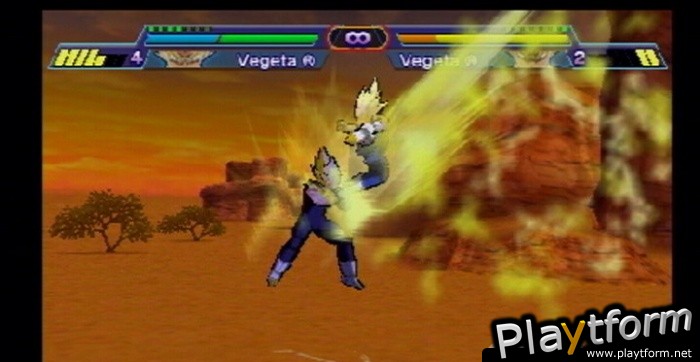 Dragon Ball Z: Shin Budokai (PSP)