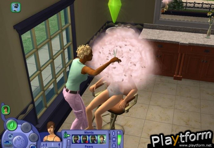 The Sims 2: Open for Business (PC)