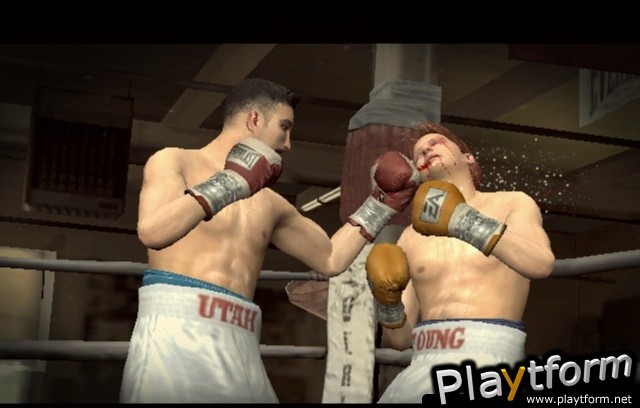 Fight Night Round 3 (Xbox)