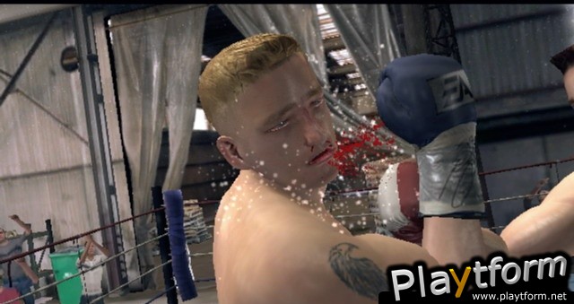 Fight Night Round 3 (Xbox)