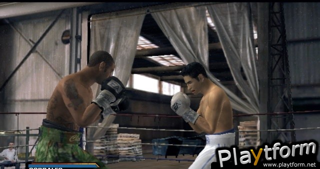 Fight Night Round 3 (Xbox)