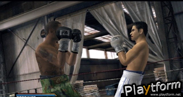 Fight Night Round 3 (Xbox)