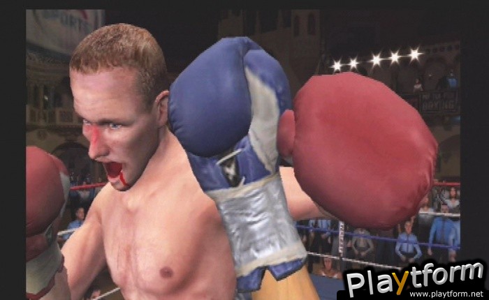 Fight Night Round 3 (PlayStation 2)