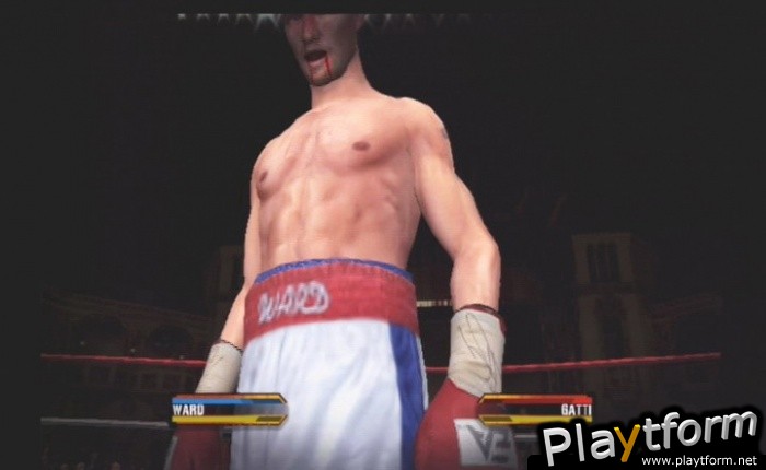 Fight Night Round 3 (PlayStation 2)