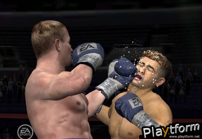 Fight Night Round 3 (PlayStation 2)