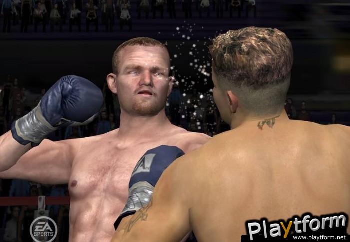 Fight Night Round 3 (PlayStation 2)