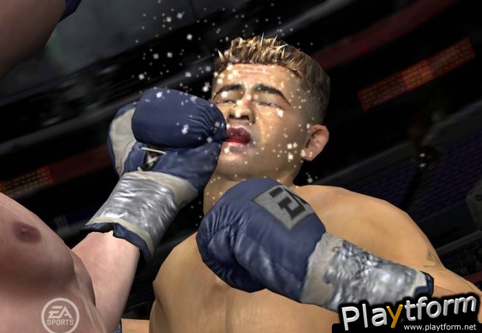 Fight Night Round 3 (PlayStation 2)