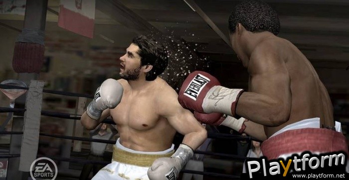 Fight Night Round 3 (PlayStation 2)