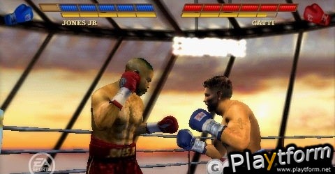 Fight Night Round 3 (PSP)