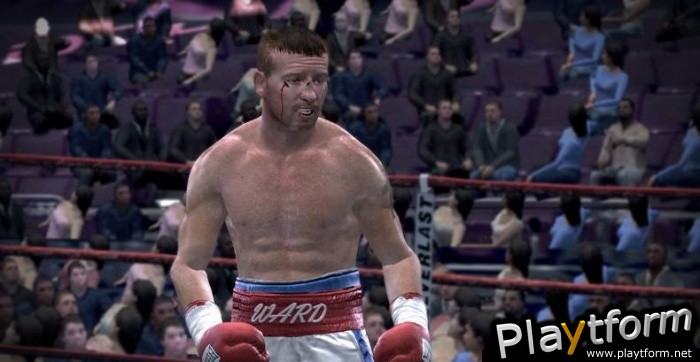 Fight Night Round 3 (Xbox 360)