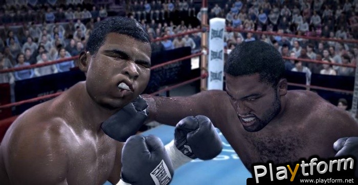 Fight Night Round 3 (Xbox 360)