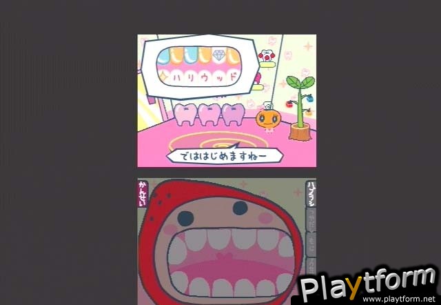 Tamagotchi Connection: Corner Shop (DS)