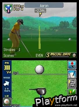 True Swing Golf (DS)