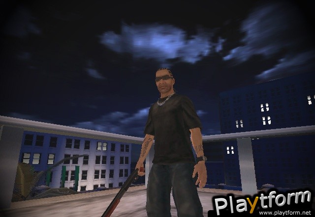 25 to Life (PlayStation 2)