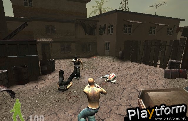 25 to Life (PlayStation 2)