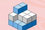 Big Brain Academy (DS)
