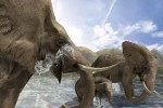 Wild Earth: Photo Safari (PC)