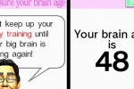 Brain Age: Train Your Brain in Minutes a Day (DS)