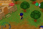 Harvest Moon: Magical Melody (GameCube)