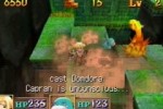 Tao's Adventure: Curse of the Demon Seal (DS)