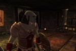 The Elder Scrolls IV: Oblivion (PC)