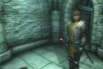 The Elder Scrolls IV: Oblivion (PC)