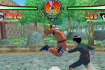 Naruto: Clash of Ninja (GameCube)