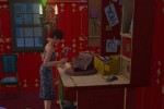 The Sims 2: Open for Business (PC)