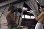 Fight Night Round 3 (Xbox)