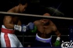 Fight Night Round 3 (Xbox)